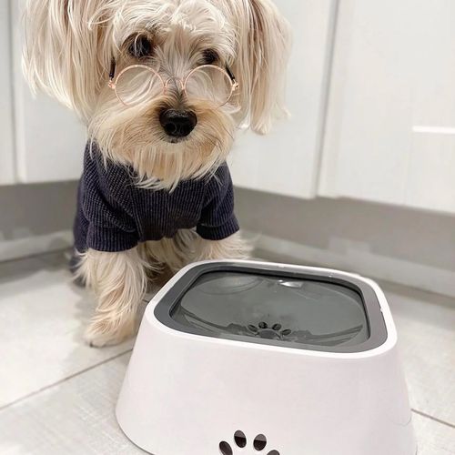 ACQUAGUARD - Ciotola Anti-Goccia Perfetta per Cani e Gatti