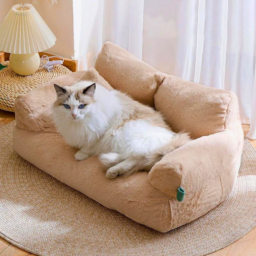 FLUFFYDREAM - Divano Letto Comfort