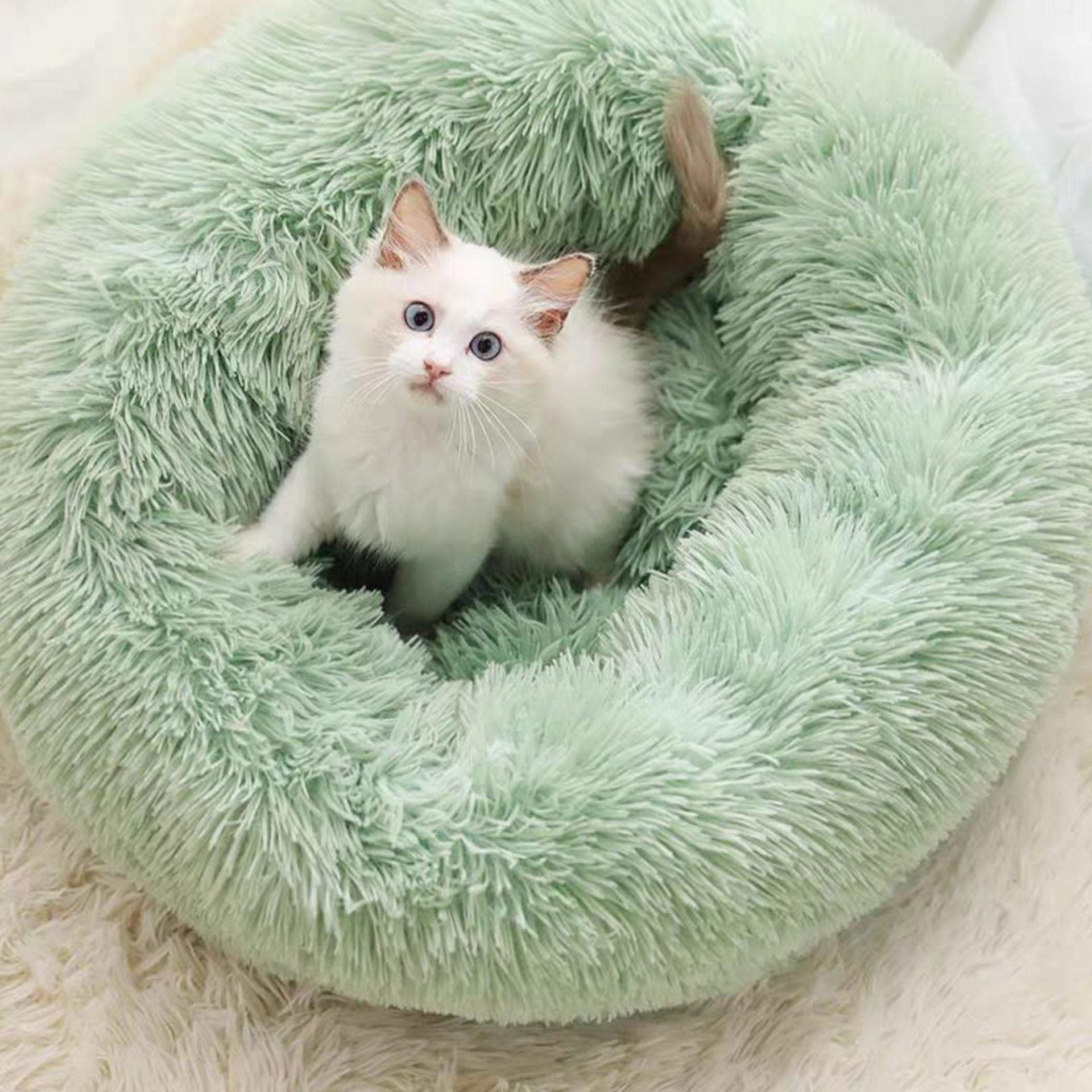 FLUFFY BED - Il Comodo Paradiso per Animali