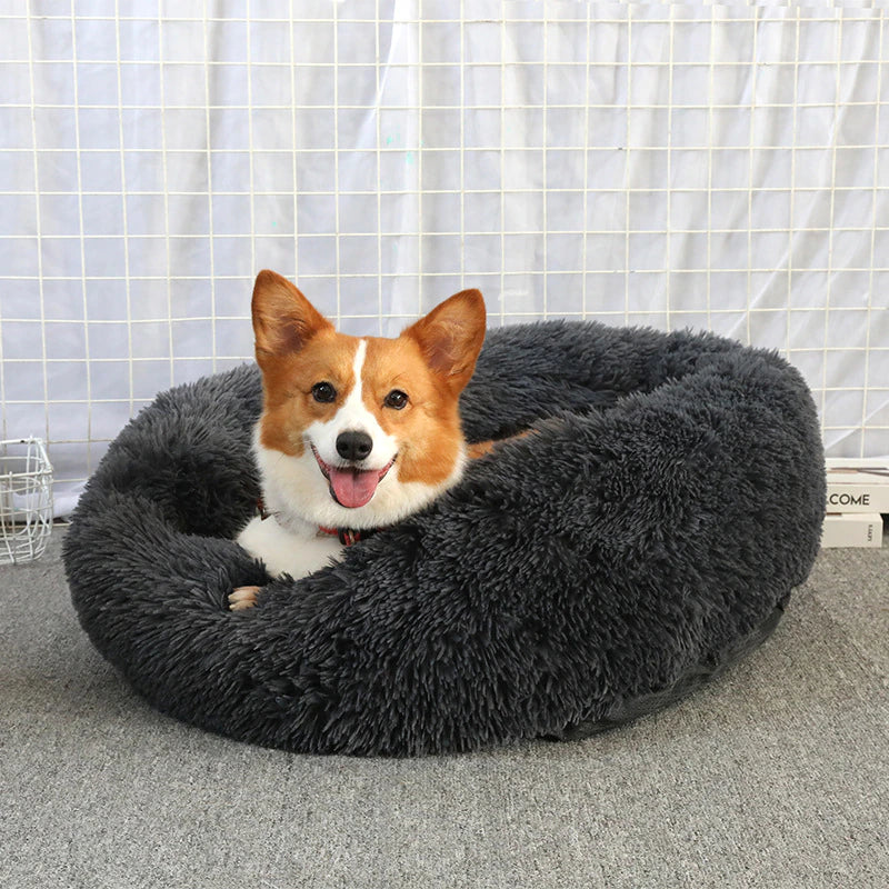 FLUFFY BED - Il Comodo Paradiso per Animali