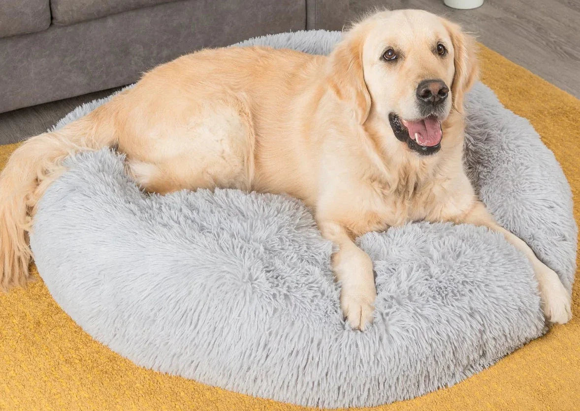 FLUFFY BED - Il Comodo Paradiso per Animali