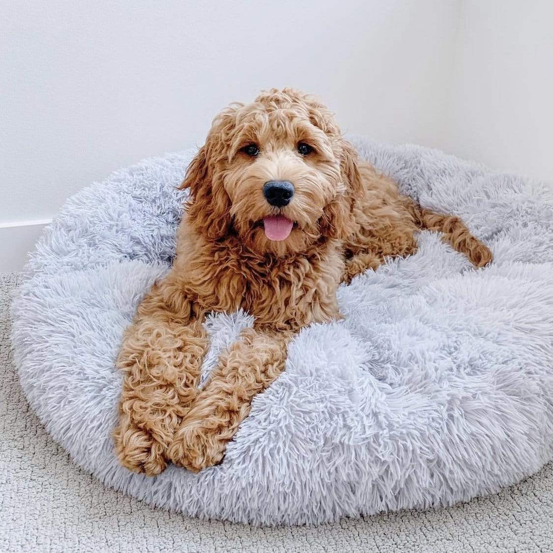 FLUFFY BED - Il Comodo Paradiso per Animali