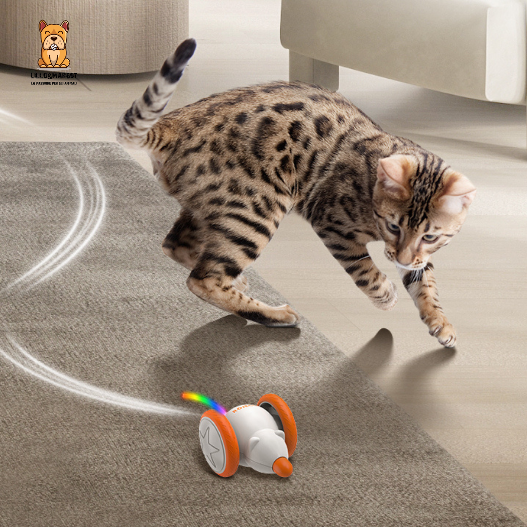 ZOOMMOUSE