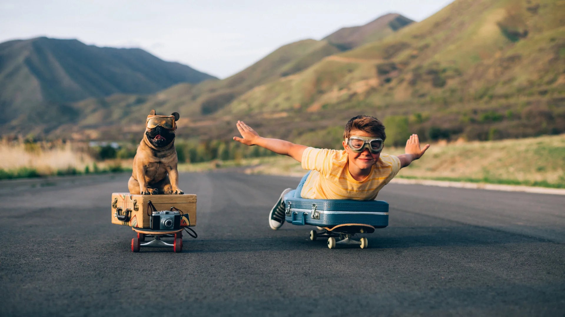 Pronti a Partire: Guida Completa per Viaggiare con Animali Domestici