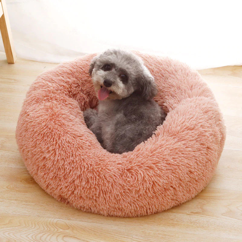 FLUFFY BED - Il Comodo Paradiso per Animali