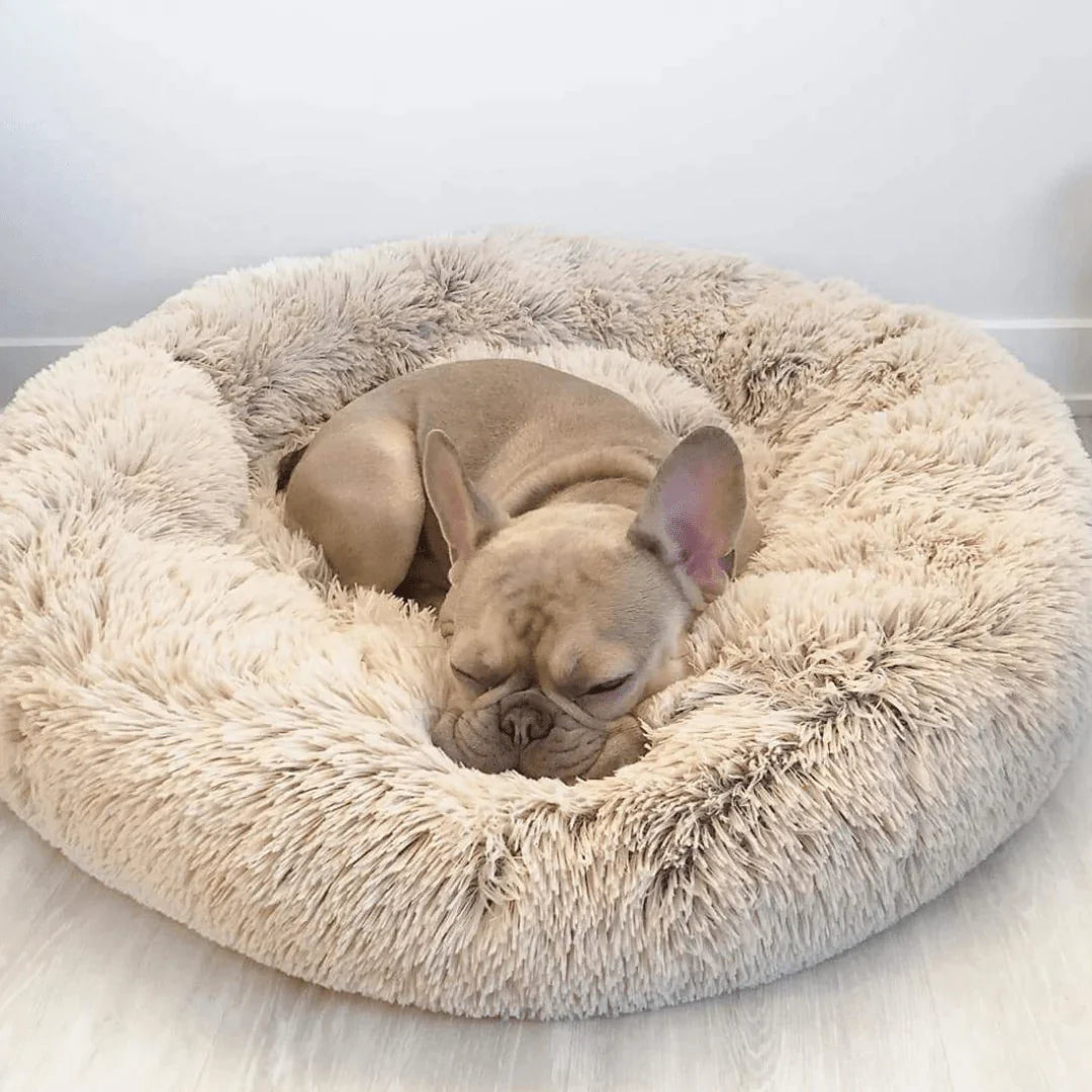 FLUFFY BED - Il Comodo Paradiso per Animali